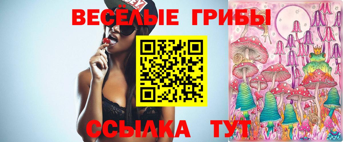Новосибирск  Галлюциногенные грибы прущие грибы  Псилоцибиновые грибы Cubensis  Вход с VPN 